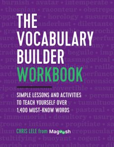 Rich Results on Google's SERP when searching for 'The Vocabulary Builder Workbook'