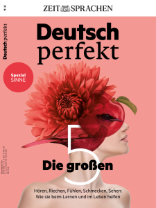 Rich Results on Google's SERP when searching for ''Deutsch Perfekt Die 5 Groben''