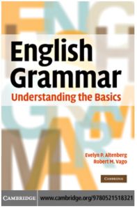 Rich Results on Google's SERP when searching for ''English Grammar Understanding The Basics''